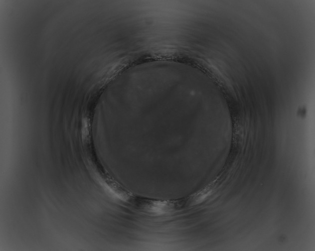 X0000091180130200708301224