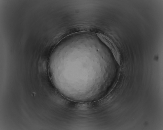 X0000091180131200708301224