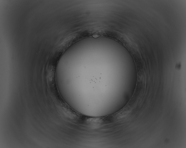 X0000091180133200708301224
