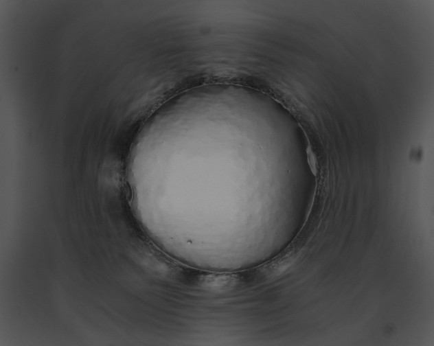 X0000091180135200708301224