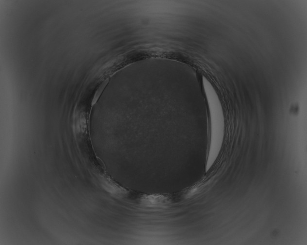 X0000091180137200708301224