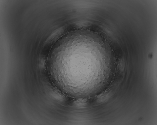 X0000091180138200708301224