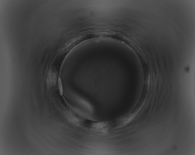 X0000091180139200708301224