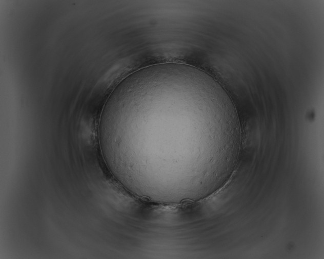 X0000091180140200708301224