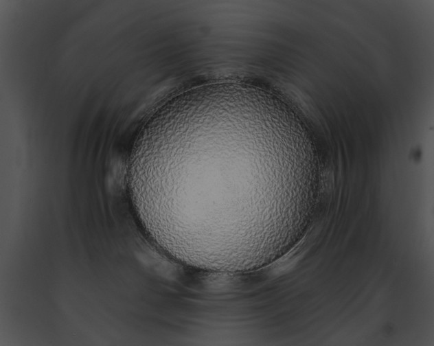 X0000091180142200708301224