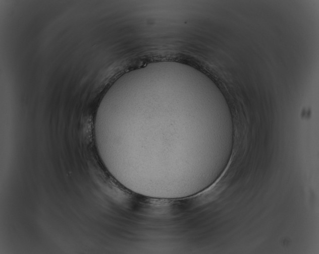 X0000091180144200708301224