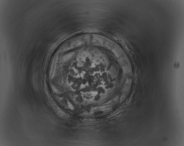 X0000091180145200708301223