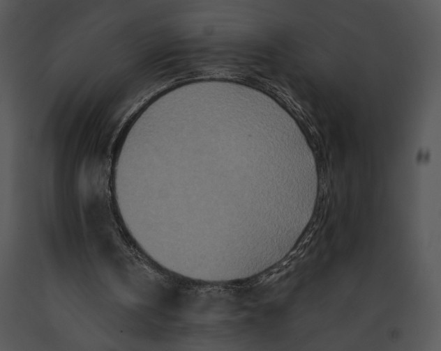 X0000091180146200708301223