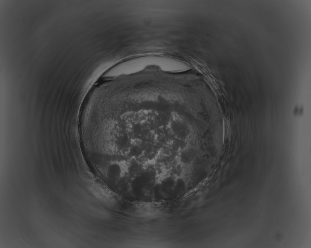 X0000091180147200708301223