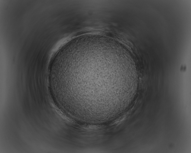 X0000091180149200708301223