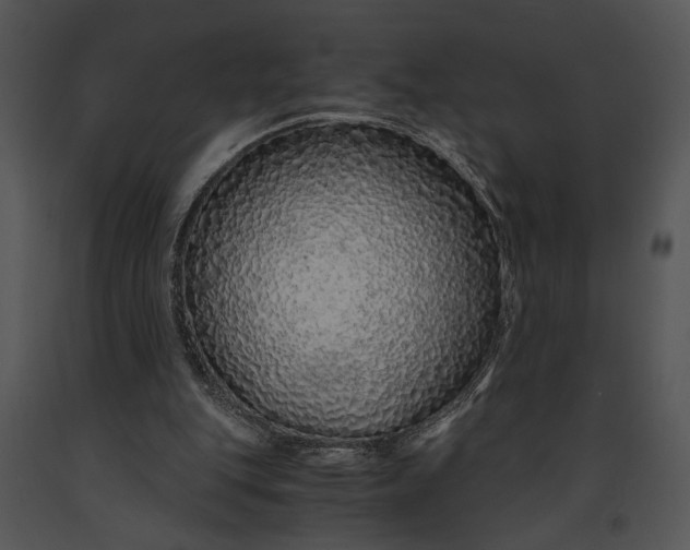 X0000091180151200708301223