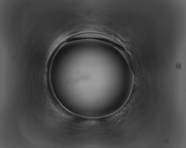 X0000091180152200708301223