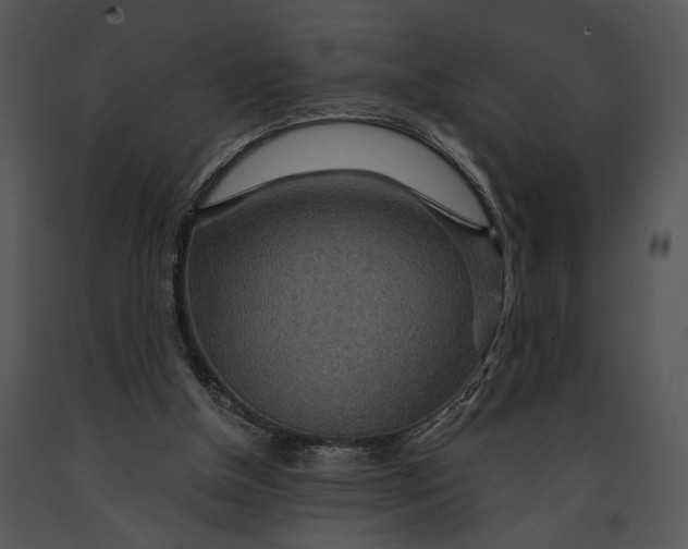 X0000091180154200708301223