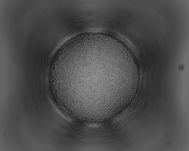 X0000091180155200708301223