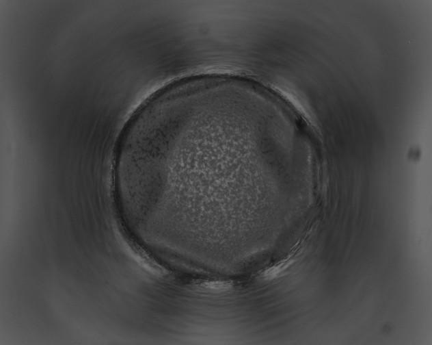 X0000091180156200708301223
