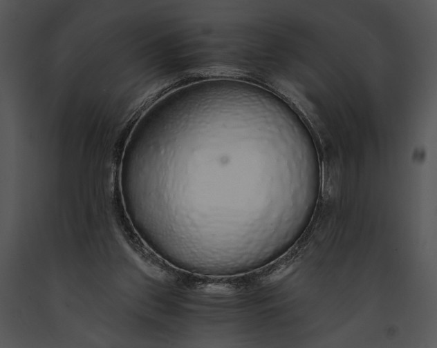 X0000091180157200708301223