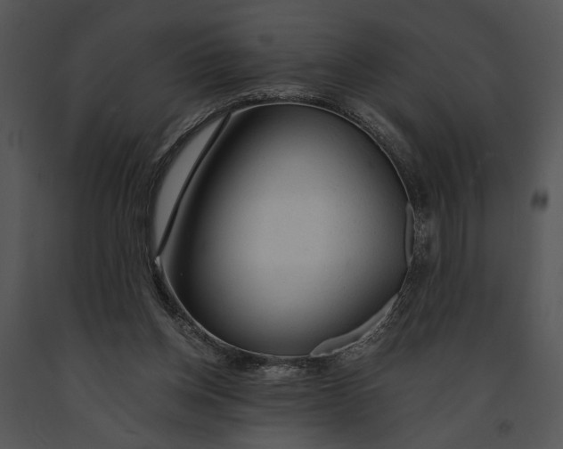 X0000091180158200708301223