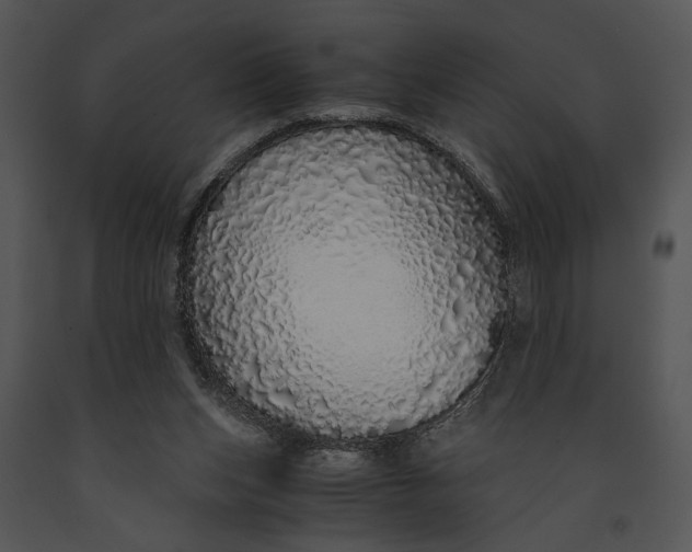 X0000091180159200708301223