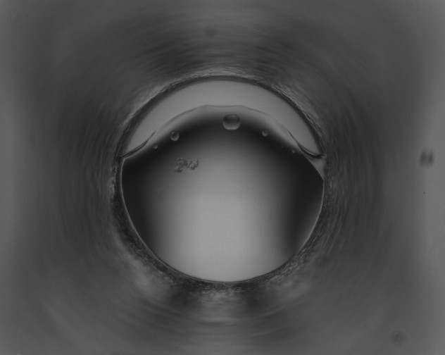 X0000091180160200708301223