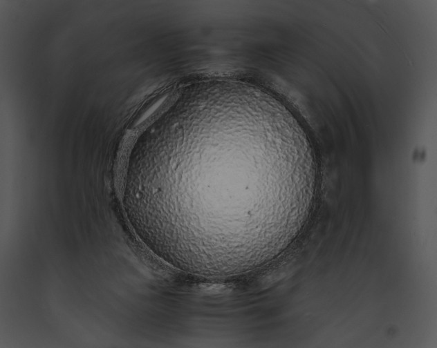 X0000091180161200708301223