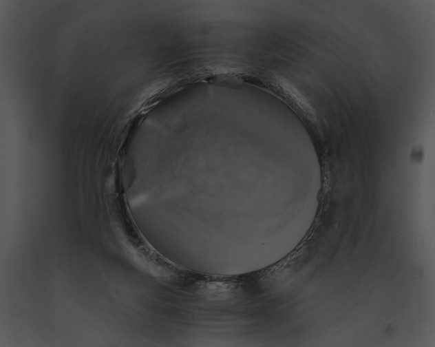X0000091180163200708301223