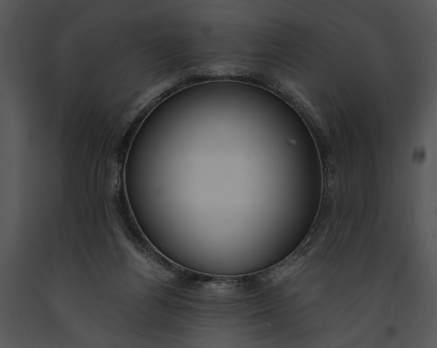 X0000091180164200708301223