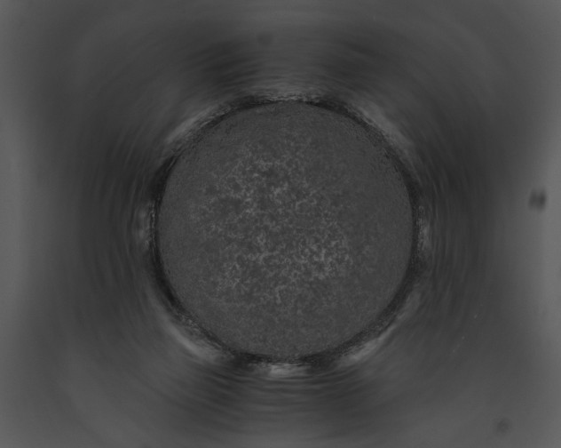 X0000091180165200708301223