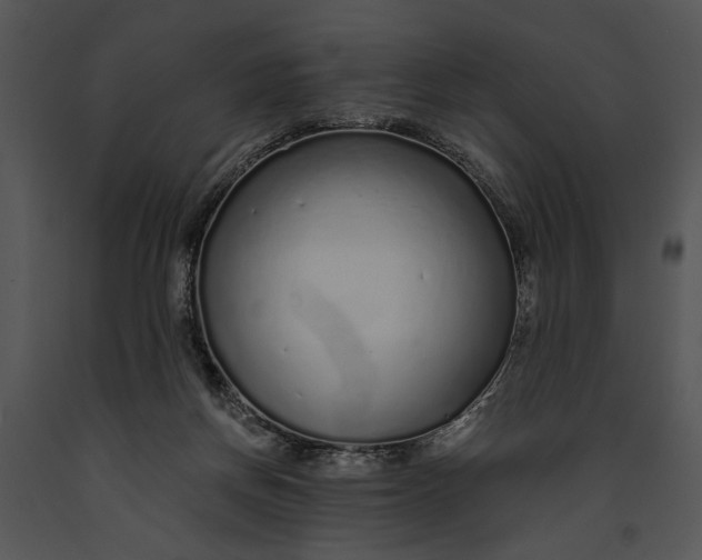 X0000091180166200708301223