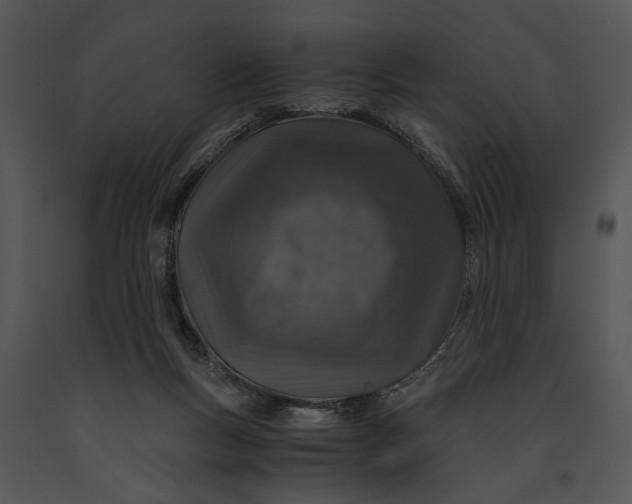 X0000091180167200708301223