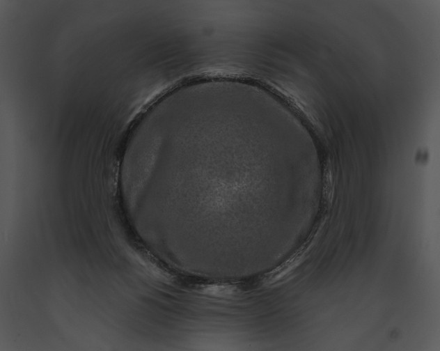 X0000091180168200708301223