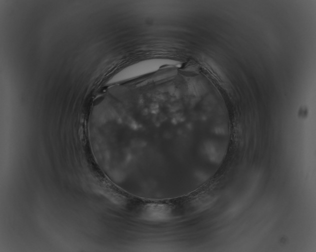 X0000091180169200708301223