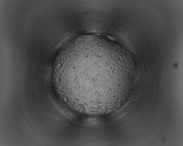 X0000091180171200708301223