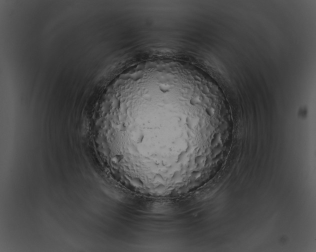 X0000091180173200708301223