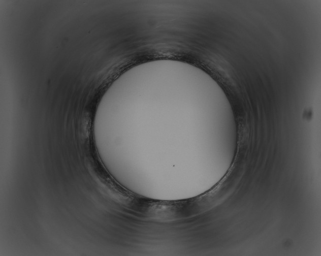 X0000091180174200708301224