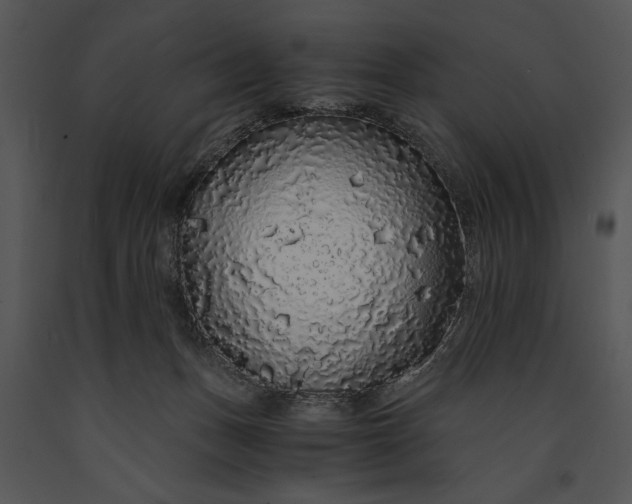 X0000091180175200708301224