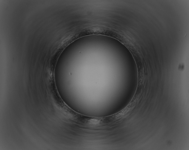 X0000091180176200708301224