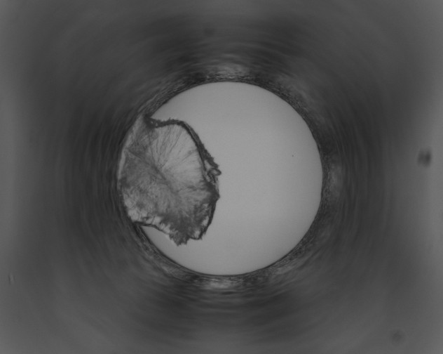 X0000091180177200708301224