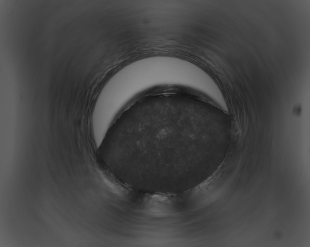 X0000091180180200708301224