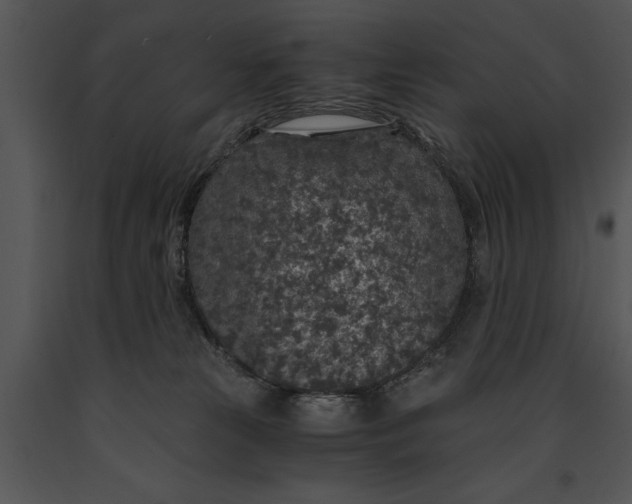 X0000091180181200708301224