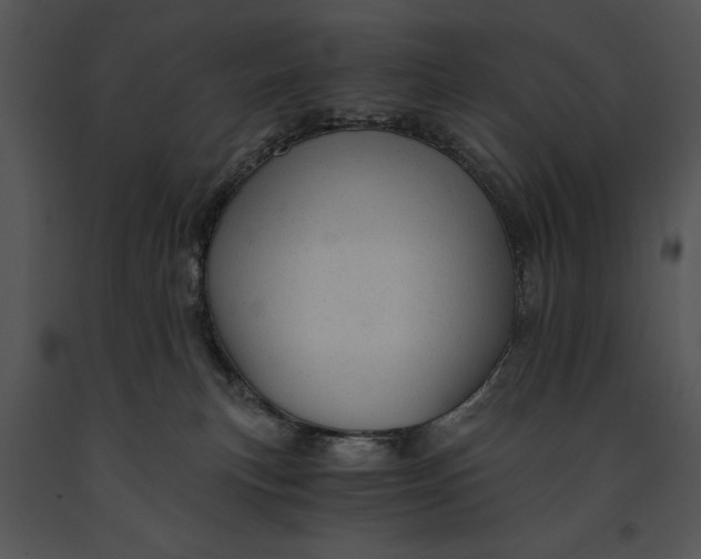 X0000091180183200708301224