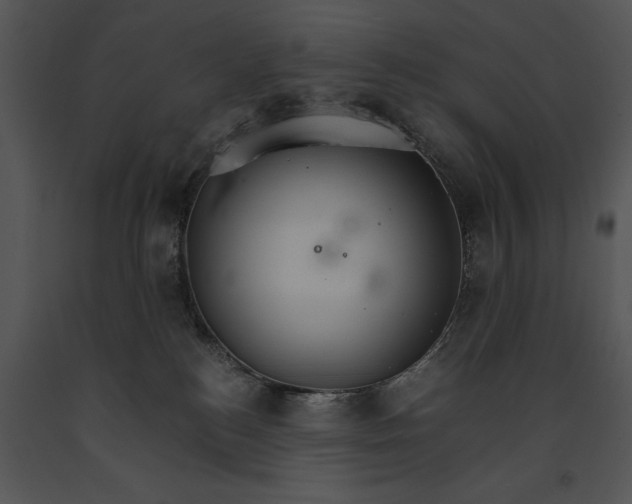 X0000091180184200708301224