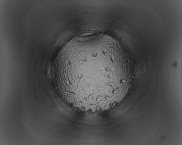 X0000091180185200708301224