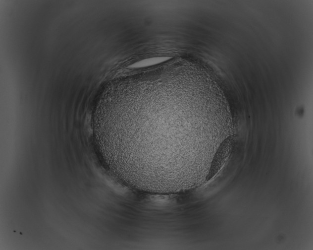 X0000091180187200708301224