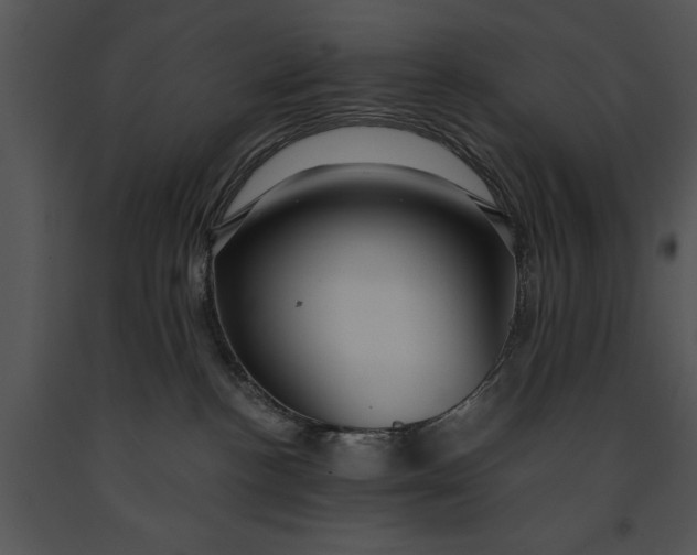 X0000091180188200708301224