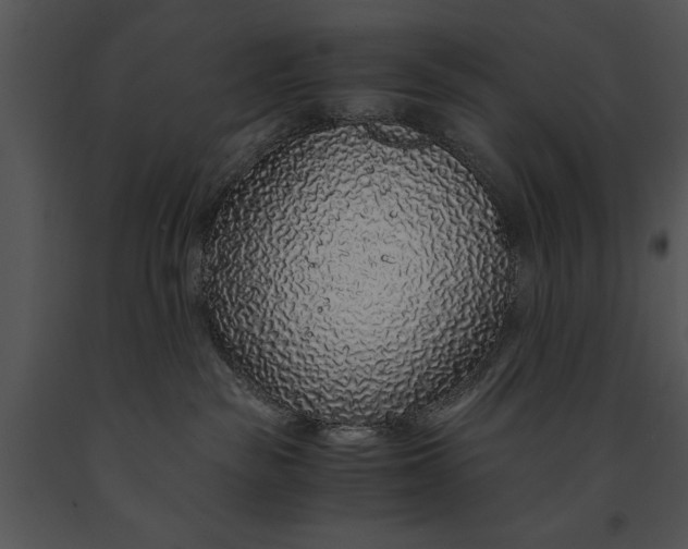 X0000091180189200708301224