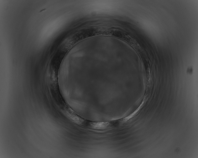 X0000091180191200708301224
