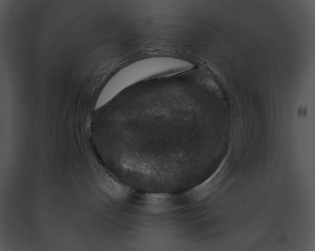 X0000091180192200708301224