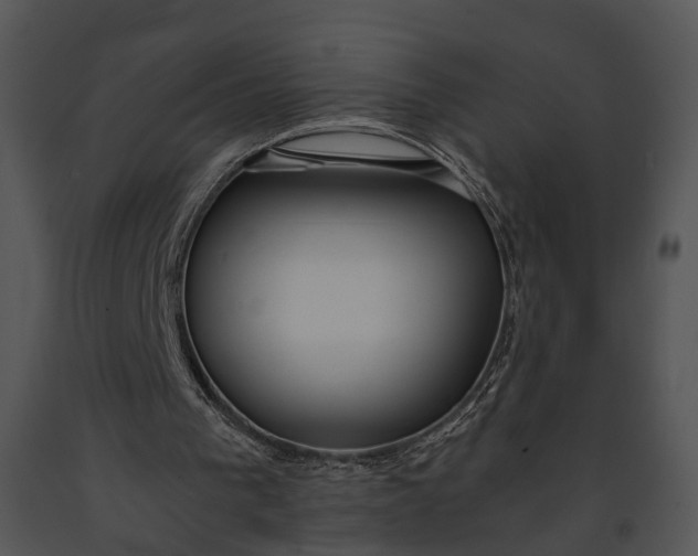X0000091180193200708301223