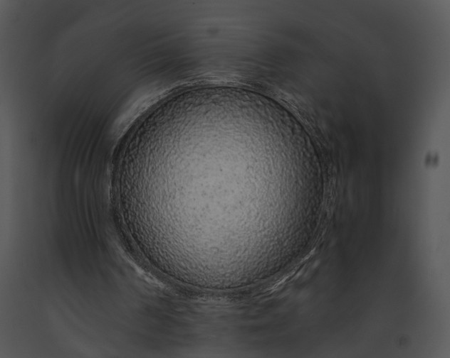X0000091180194200708301223