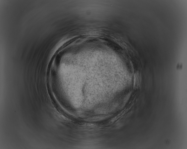 X0000091180195200708301223